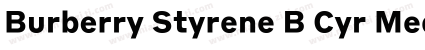 Burberry Styrene B Cyr Medium Plus字体转换